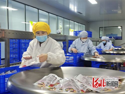 河北邱縣 新春開工忙