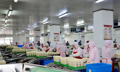 長春高榕生物科技:深耕食用菌產(chǎn)業(yè) 用科技還原生態(tài)之美