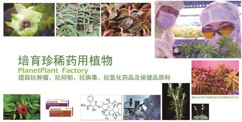 【招聘】中科生物招聘進行時!再不來好工作都讓人搶走啦~