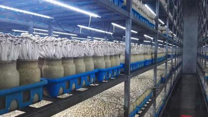 市投促局帶隊(duì)赴上海考察 四個(gè)項(xiàng)目達(dá)成共識