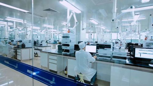 稅惠新型工業(yè)化探秘獨角獸企業(yè)發(fā)展密碼