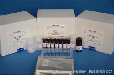 人堿性成纖維細胞生長因子9(bFGF-9)elisa試劑盒_上海極威生物科技_耗材產品_阿儀網