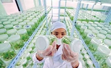 看一看,農業也可以這樣五光十色!