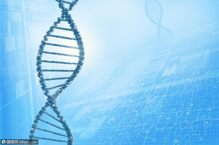 dna分子高科技dna分子的生物化學背景生物學科學