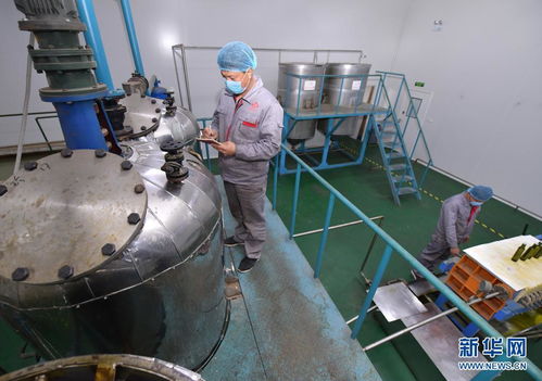 山東菏澤 牡丹花開產業紅