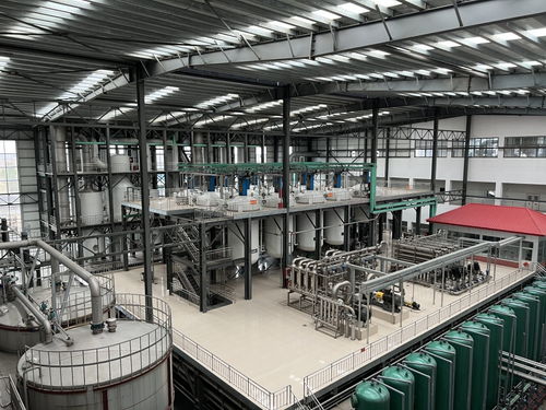 這里有條玉米 黃金 產業鏈 山東諸城從小玉米中挖出大產業