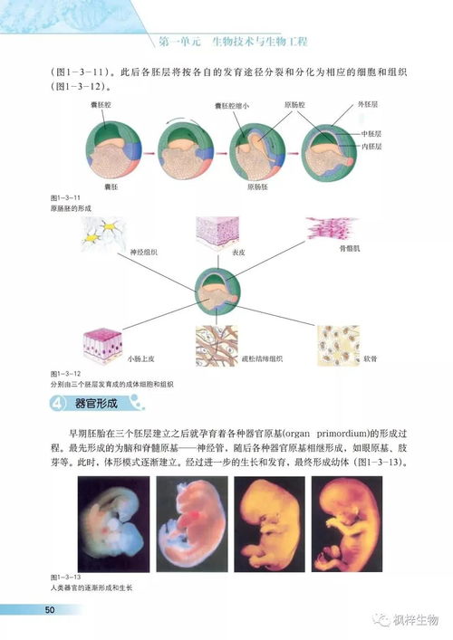 滬科版高中生物選修三 現代生物科技專題 電子課本 pdf版免費下載