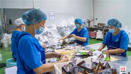 成都金堂精準施策“拼經(jīng)濟” 476家企業(yè)全力以“復”發(fā)展生物科技