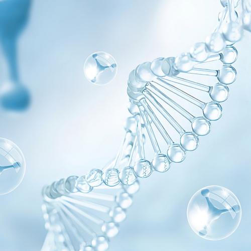 生物科技 重塑未來(lái)的生命密碼